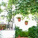 Papadioti Apart Otel Pefki (Evia)